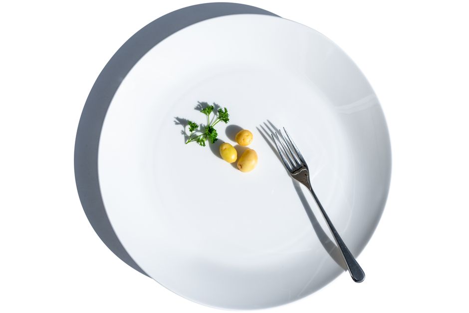 Small healthy meal portion on a plate representing post-surgery eating